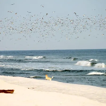 Apartment White Pearl 2.08 Timmendorfer Strand