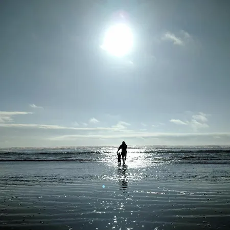 Apartment White Pearl 2.08 *