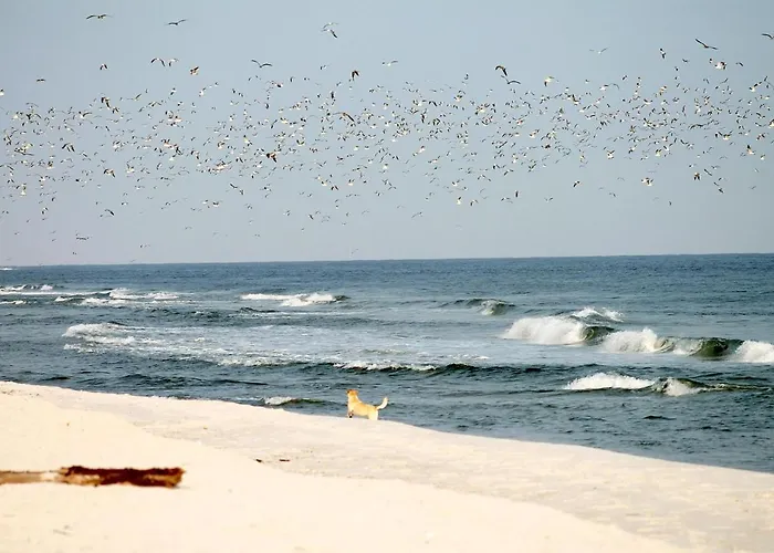 Διαμέρισμα White Pearl 2.08 Timmendorfer Strand